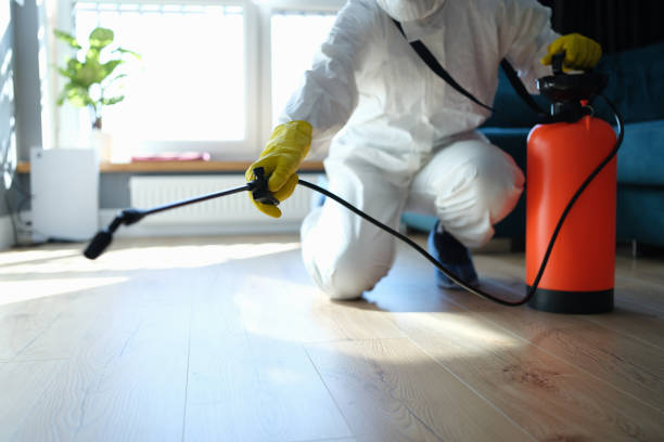 Reliable Biohazard contractor in Chestnut Hill, MA by Trauma Clean Pros